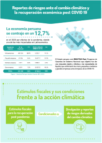 Infografía: Cambio Climático y Recuperación Económica
